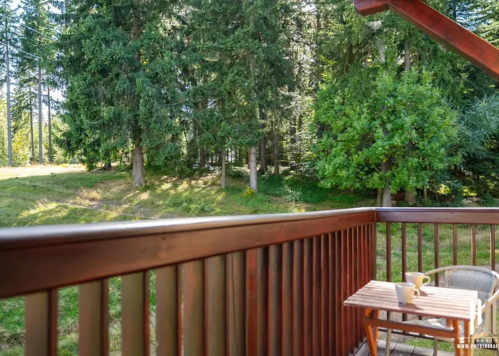 Апартаменты Lola 14